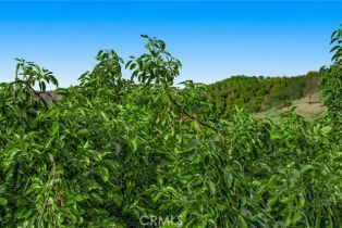 Single Family Residence, 43650 La Cruz dr, Temecula, CA 92590 - 67