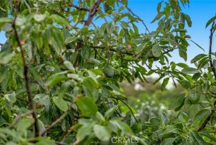 Single Family Residence, 43650 La Cruz dr, Temecula, CA 92590 - 69