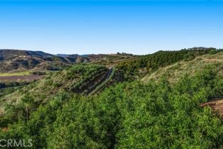 Single Family Residence, 43650 La Cruz dr, Temecula, CA 92590 - 71