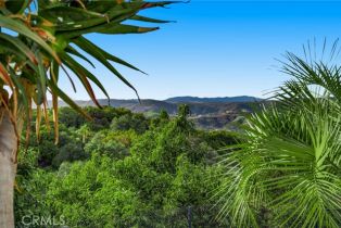 Single Family Residence, 43650 La Cruz dr, Temecula, CA 92590 - 74