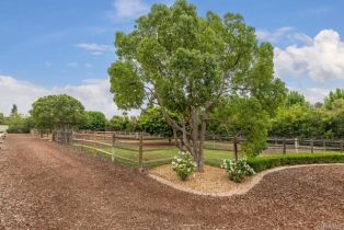 Single Family Residence, 16161 Valle De Oro, Rancho Santa Fe, CA 92067 - 55