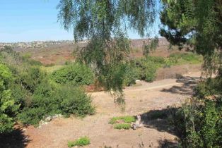 Single Family Residence, 7245 Carpa Court, Carlsbad, CA 92009 - 28