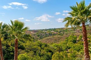 Single Family Residence, 6376 VIA NARANJAL, Rancho Santa Fe, CA 92067 - 56