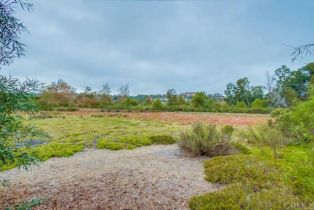 Single Family Residence, 4124 Stonebridge lane, Rancho Santa Fe, CA 92067 - 29