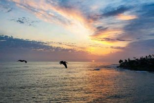 Single Family Residence, 5680 Dolphin Place, La Jolla, CA 92037 - 7