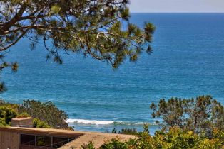 Single Family Residence, 271 Ocean View ave, Del Mar, CA 92014 - 16