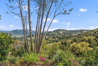 Single Family Residence, 2542 Wilt rd, Fallbrook, CA 92028 - 25