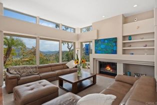 Single Family Residence, 2542 Wilt rd, Fallbrook, CA 92028 - 4