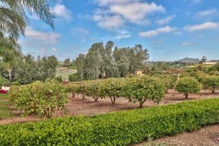 Single Family Residence, 1340 Via Vista, Fallbrook, CA 92028 - 62