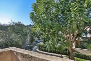 Townhouse, 3720 Calle Cortejo, Rancho Santa Fe, CA 92091 - 43