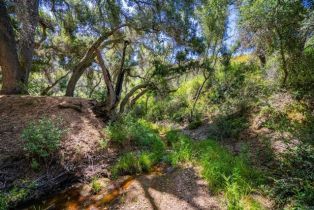 , 0 Tenaja rd, Fallbrook, CA 92028 - 12