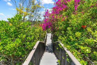 Single Family Residence, 16715 Rambla De Las Flores, Rancho Santa Fe, CA 92067 - 61