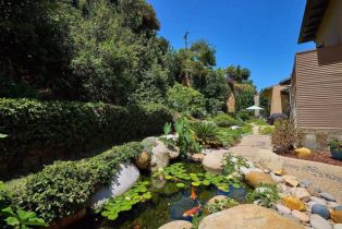 Single Family Residence, 622 Canyon dr, Solana Beach, CA 92075 - 44