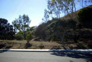 , 1702 Havenwood dr, Oceanside, CA 92056 - 2