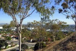 , 1702 Havenwood dr, Oceanside, CA 92056 - 5