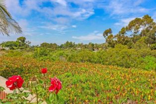 Single Family Residence, 7112 Lantana, Carlsbad, CA 92011 - 32