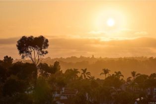 Single Family Residence, 5893 Winland Hills dr, Rancho Santa Fe, CA 92067 - 40