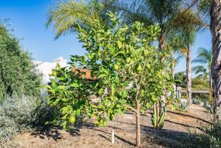 Single Family Residence, 3064 Via Loma, Fallbrook, CA 92028 - 9