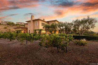 Single Family Residence, 18264 Avenida Manantial, Rancho Santa Fe, CA 92067 - 34