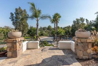 Single Family Residence, 3805 Dusty Trail, Encinitas, CA 92024 - 48