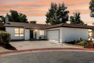 Single Family Residence, 887 Willow Tree LN, Fallbrook, CA  Fallbrook, CA 92028