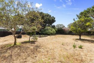 Single Family Residence, 1565 Chestnut ave, Carlsbad, CA 92008 - 10