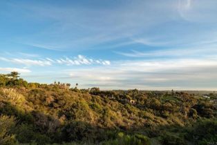 Single Family Residence, 7992 Paseo Esmerado, Carlsbad, CA 92009 - 35