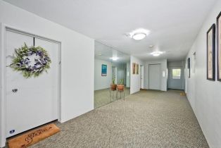 Condominium, 356 Playa Del Norte, La Jolla, CA 92037 - 5