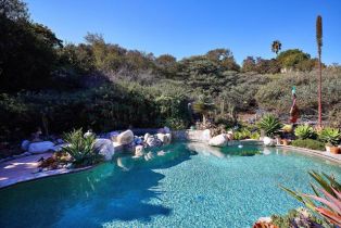 Single Family Residence, 974 Summer Holly ln, Encinitas, CA 92024 - 10