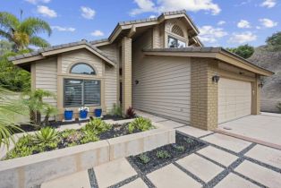 Single Family Residence, 1981 High Ridge ave, Carlsbad, CA 92008 - 3