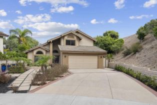 Single Family Residence, 1981 High Ridge ave, Carlsbad, CA 92008 - 4