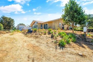 Single Family Residence, 1358 Los Amigos, Fallbrook, CA 92028 - 9