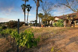 Single Family Residence, 12622 Sierra Rojo, Valley Center, CA 92082 - 55