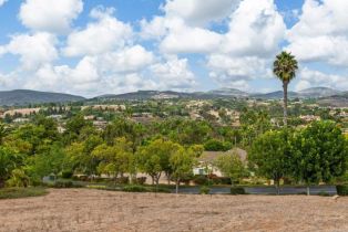 , 18174 Via Ascenso, Rancho Santa Fe, CA 92067 - 12