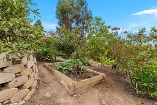 Single Family Residence, 4332 Stanford st, Carlsbad, CA 92010 - 36