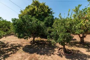 Single Family Residence, 2046 Pheasant run, Fallbrook, CA 92028 - 42