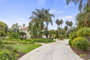 Single Family Residence, 6805 FARMS VIEW ct, Rancho Santa Fe, CA 92067 - 28