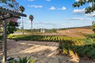 Single Family Residence, 3519 Cazador ln, Fallbrook, CA 92028 - 43