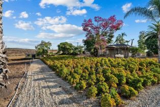 Single Family Residence, 3519 Cazador ln, Fallbrook, CA 92028 - 49