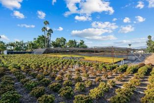 Single Family Residence, 3519 Cazador ln, Fallbrook, CA 92028 - 50