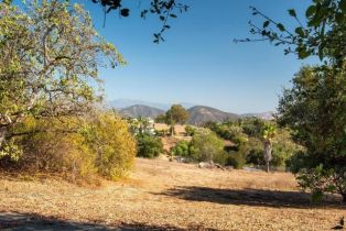 Single Family Residence, 421 Yucca, Fallbrook, CA 92028 - 63