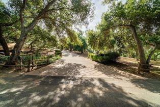 Single Family Residence, 2529 Live Oak Park rd, Fallbrook, CA 92028 - 51