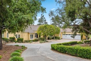 Single Family Residence, 12681 Lonesome Oak way, Valley Center, CA 92082 - 10