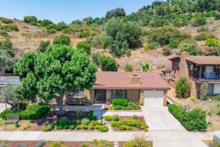 Single Family Residence, 3309 Via Altamira, Fallbrook, CA 92028 - 52