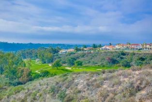 Single Family Residence, 7001 Surfbird cir, Carlsbad, CA 92011 - 59