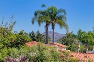 Single Family Residence, 2217 Running Spring pl, Encinitas, CA 92024 - 25