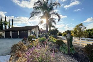 Single Family Residence, 1028 Capra way, Fallbrook, CA 92028 - 4