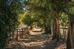 Single Family Residence, 19010 Paradise Mountain Road, Valley Center, CA 92082 - 31