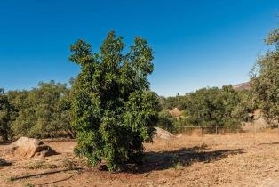 Single Family Residence, 19010 Paradise Mountain Road, Valley Center, CA 92082 - 33