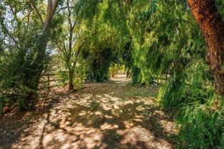 Single Family Residence, 19010 Paradise Mountain Road, Valley Center, CA 92082 - 51